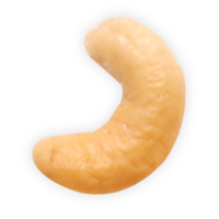 Cashew_Single_Nut