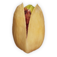 Pistachio-Single-New